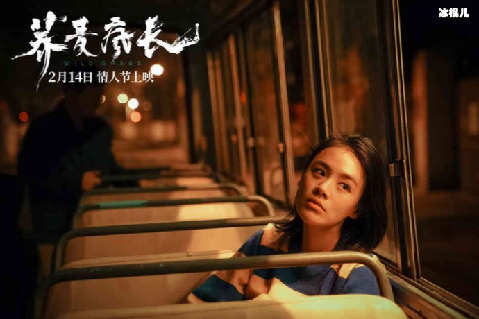 《荞麦疯长》口碑崩塌，全网被宣传打动实际却是大烂片！