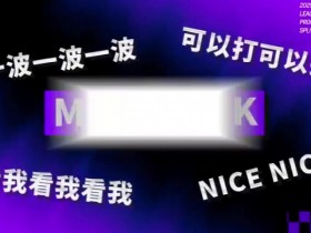 【蜗牛电竞】LPL英雄麦克疯 TheShy:哈哈哈哈哈;WEI :诶?A塔A塔