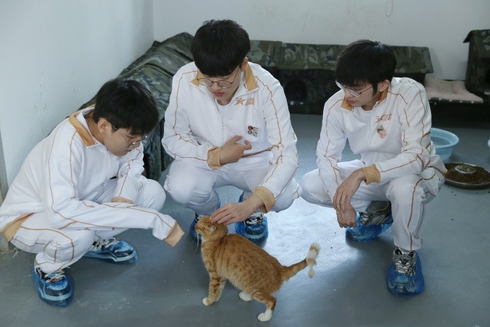 【蜗牛电竞】AL分享队员公益活动返图:上野辅三兄弟铲屎记!