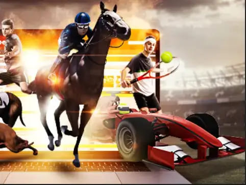 【蜗牛电竞】大发娱乐《百练赛》:巅峰竞技,燃爆全场的英雄对决!