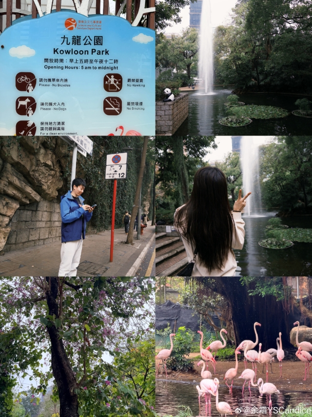 【蜗牛电竞】余霜晒与管泽元线下观赛LCK决赛合照：徒步👣