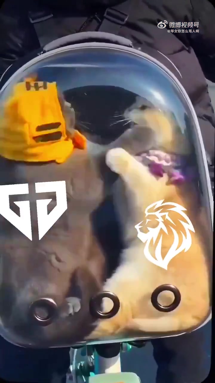 【蜗牛电竞】LYON发布对阵GEN赛前视频：画面可能令人不适 请谨慎观看